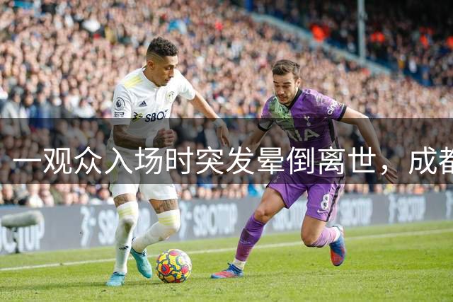 一观众入场时突发晕倒离世，成都蓉城足球俱乐部：深表痛心与惋惜，将全力协助家属做好后续善后工作