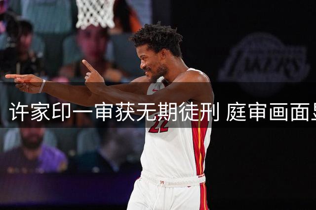 许家印一审获无期徒刑 庭审画面显示其须眉皆白