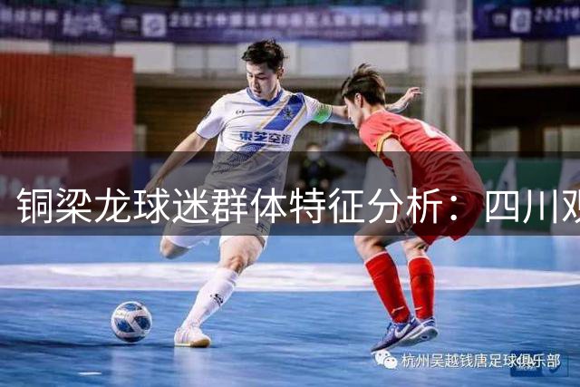 铜梁龙球迷群体特征分析：四川观众占四分之一 女性占比超行业水平