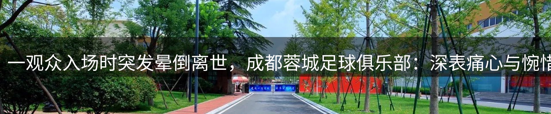 新闻动态