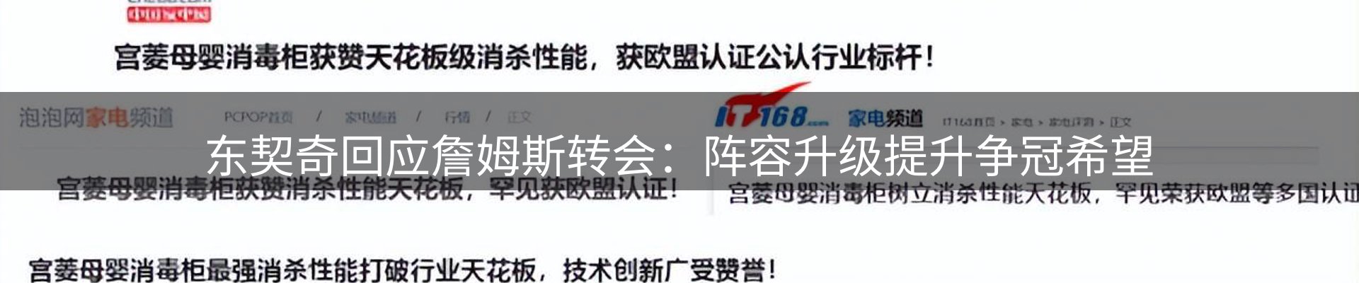 新闻动态