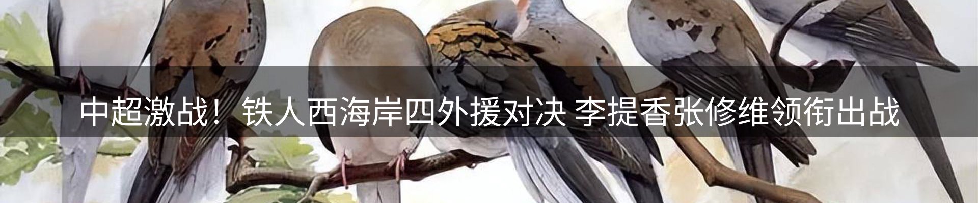 新闻动态