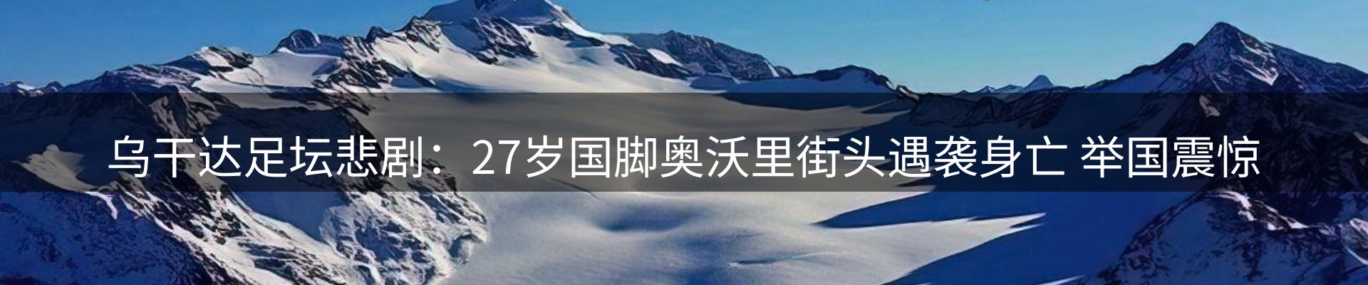 新闻动态