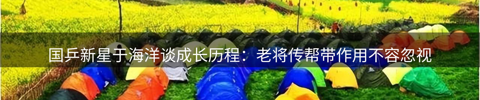 新闻动态