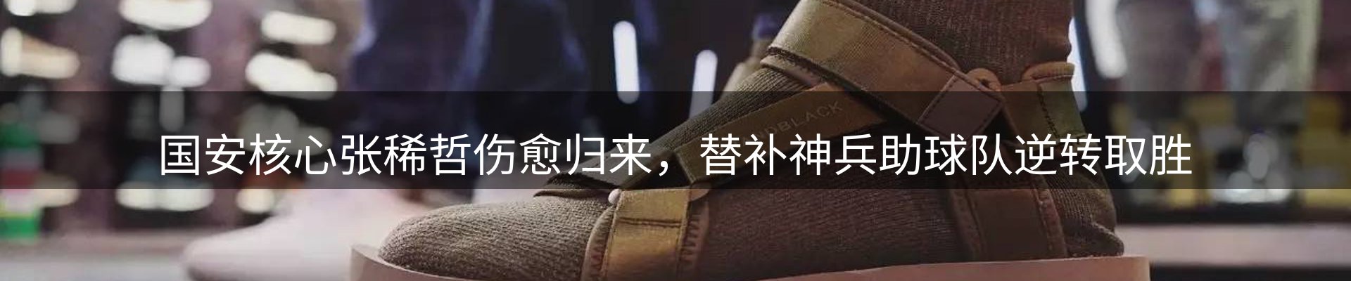 新闻动态