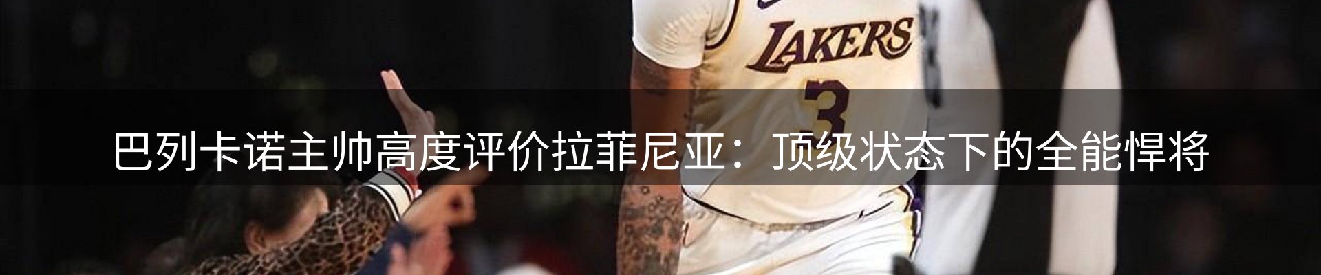 焦点解读