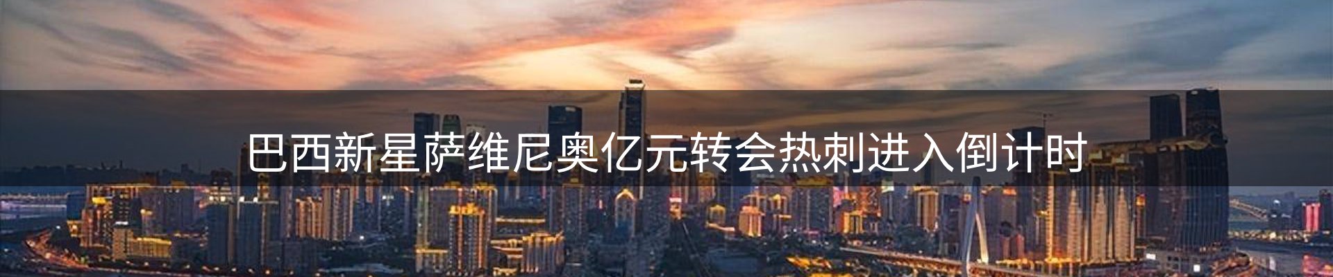 新闻动态