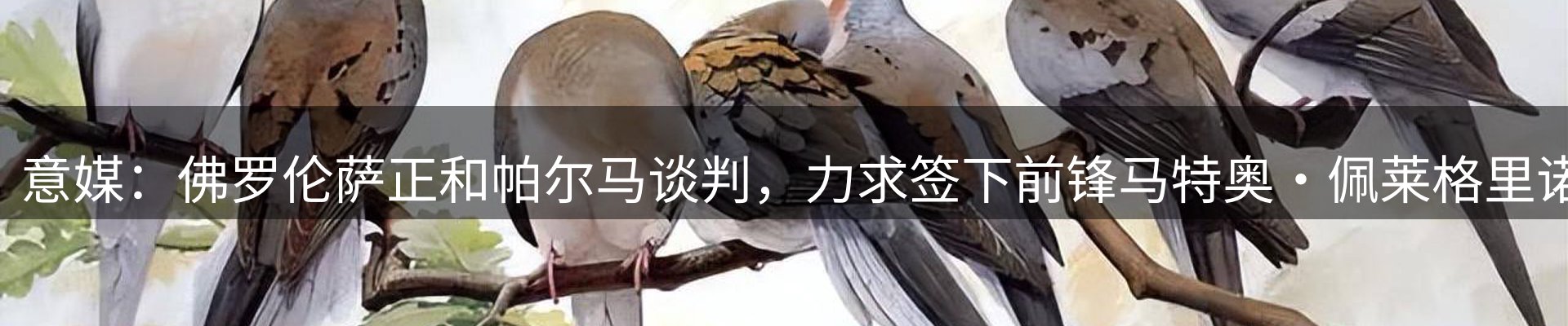 新闻动态