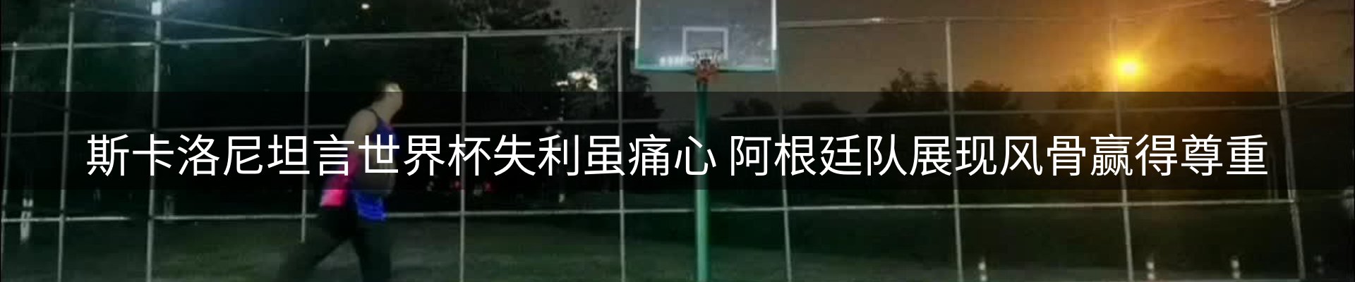 新闻动态