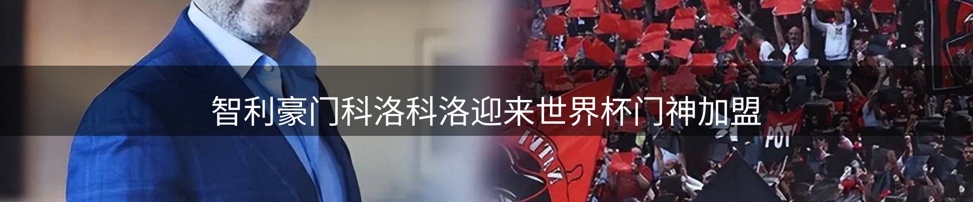 新闻动态