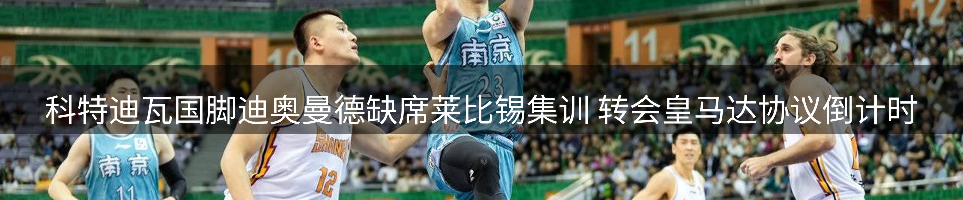 新闻动态