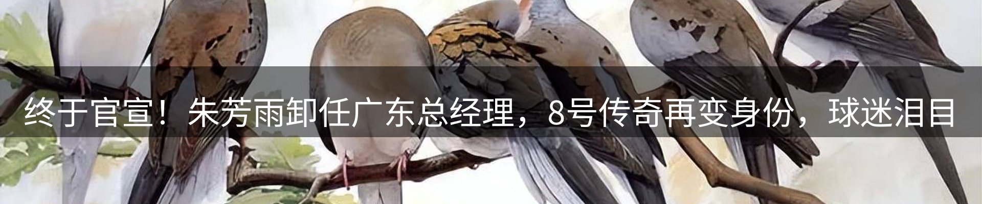 新闻动态