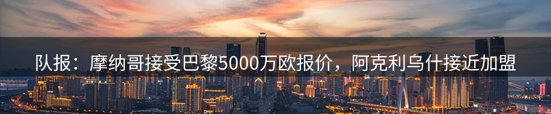 新闻动态