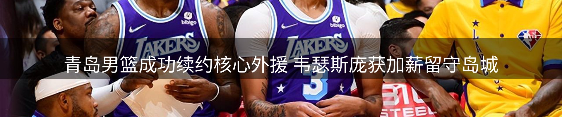 新闻动态