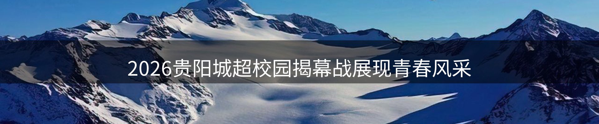 新闻动态